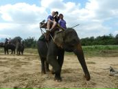 Фотография Плотниковой Елены