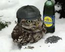 Віктор Калин фотография #6 (источник - https://vk.com/id135007676)