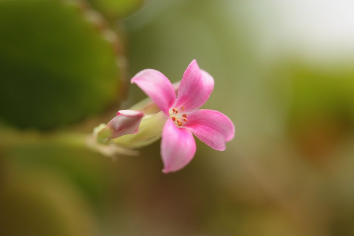 Фёдор Сумкин фотография #44