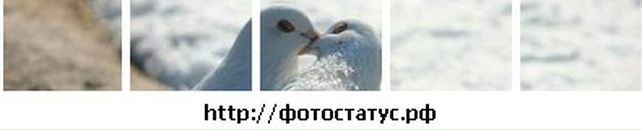 Андрій Єремейчук фотография #48 (источник - https://vk.com/id24174963)