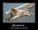 Інна Ястремська фотография #15 (источник - https://vk.com/id138457890)