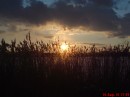 Діма Огородник фотография #7 (источник - https://vk.com/id48866446)