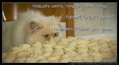 Фотография Максим Соников