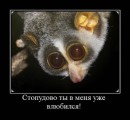 Ілля Орлов фотография #42 (источник - https://vk.com/id283962067)