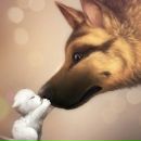 Сєрий Гринчук фотография #14 (источник - https://vk.com/id152364830)