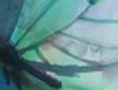 Валерий Караваев фотография #45 (источник - https://vk.com/id4304101)