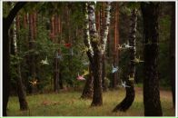 Дарья Козел фотография #36 (источник - https://vk.com/id517013)