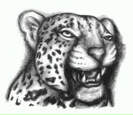 Віктор Папушой фотография #17 (источник - https://vk.com/id87167355)