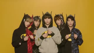 TXT - Cat & Dog
